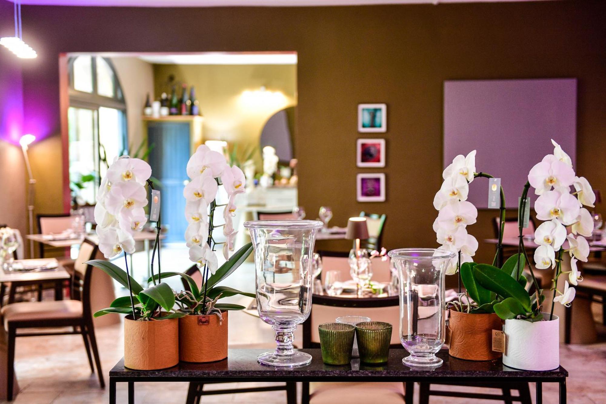 Le Mas Des Aigras - Hotel & Restaurant De Charme En Provence オランジュ エクステリア 写真